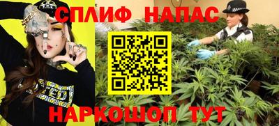 гашик Кохма