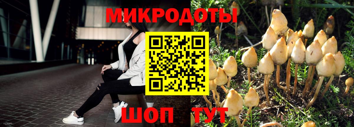 дарнет шоп  Галлюциногенные грибы мицелий  Магнитогорск  Вход с VPN  Псилоцибиновые грибы MAGIC MUSHROOMS 