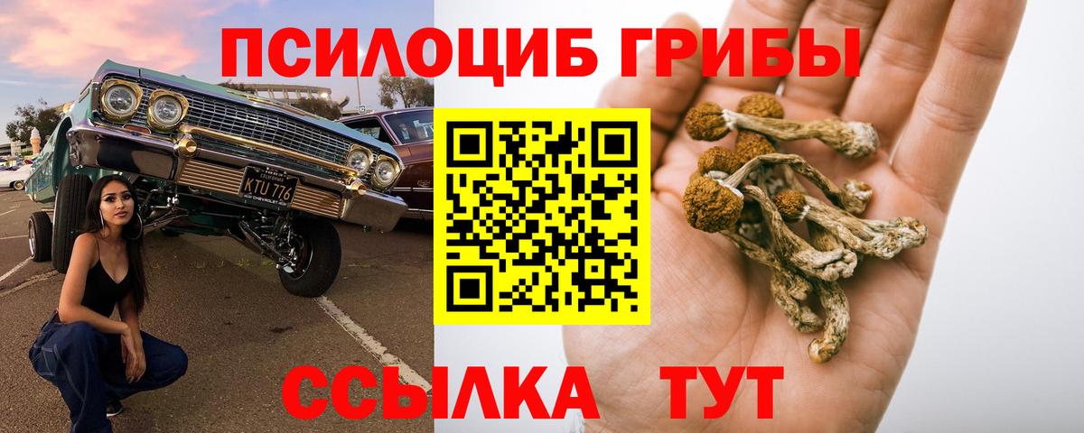 Псилоцибиновые грибы прущие грибы Магнитогорск